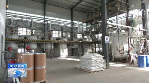 牢記囑托 乘勢而上 李哲調研城西機電化工產業集聚區，強調安全高效推動化工生產